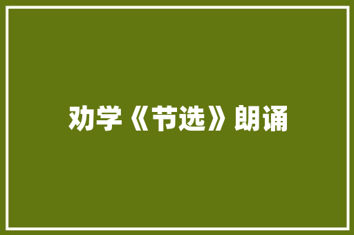 深圳百度推广之乐云SEO专业SEO服务助力企业腾飞