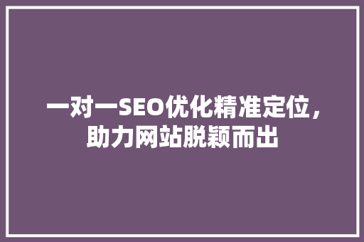 一对一SEO优化精准定位，助力网站脱颖而出