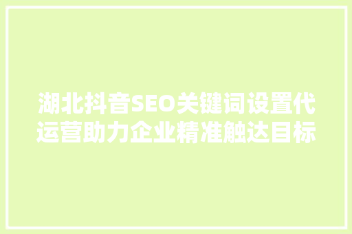 湖北抖音SEO关键词设置代运营助力企业精准触达目标用户