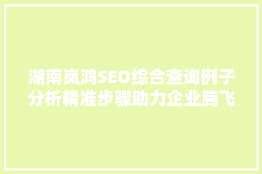 湖南岚鸿SEO综合查询例子分析精准步骤助力企业腾飞