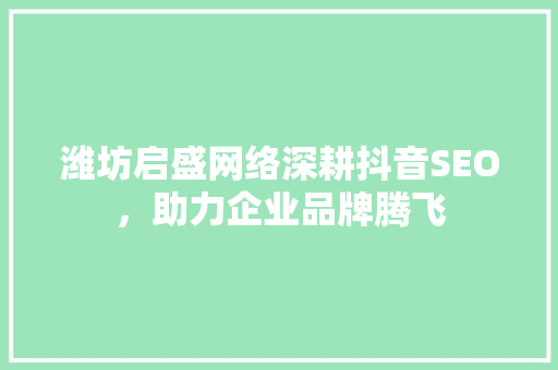 潍坊启盛网络深耕抖音SEO，助力企业品牌腾飞