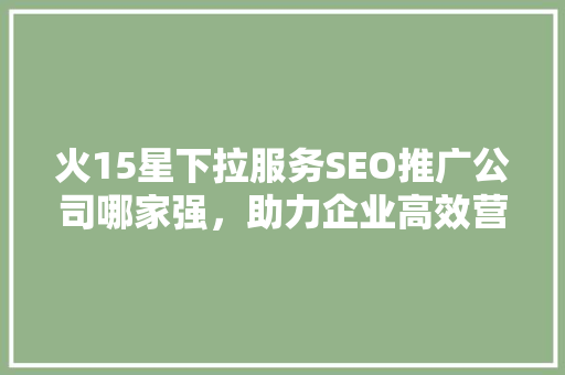 火15星下拉服务SEO推广公司哪家强，助力企业高效营销