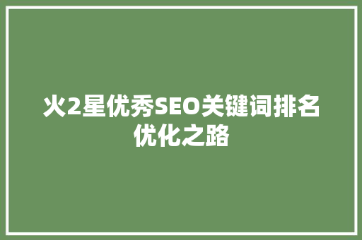 火2星优秀SEO关键词排名优化之路