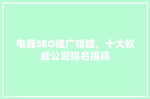 电商SEO推广领域，十大权威公司排名揭晓