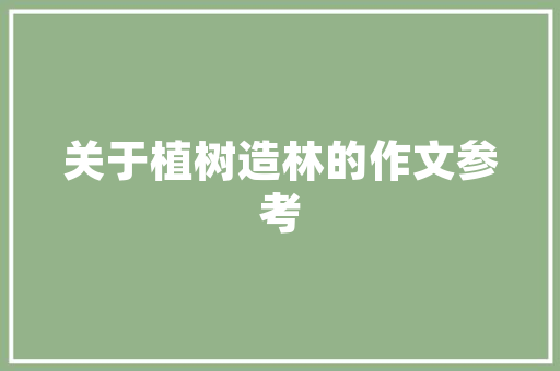 武汉SEO行业领军者,乐云SEO十年辉煌历程