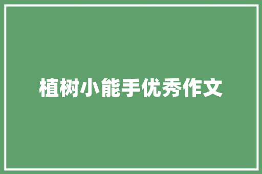 法库品牌抖音SEO优化费用与回报的平衡之路