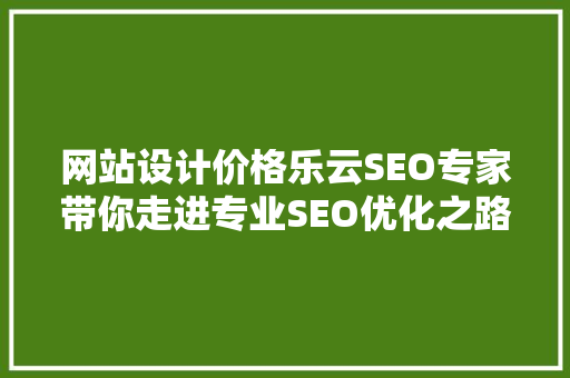 网站设计价格乐云SEO专家带你走进专业SEO优化之路