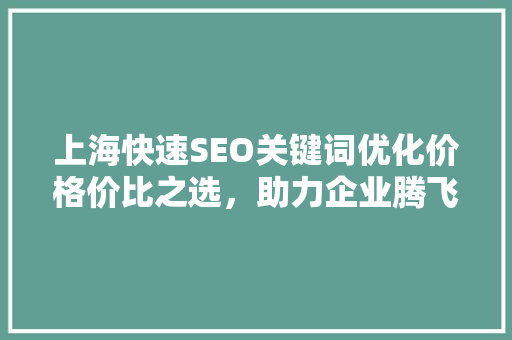 上海快速SEO关键词优化价格价比之选，助力企业腾飞
