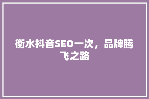 衡水抖音SEO一次，品牌腾飞之路