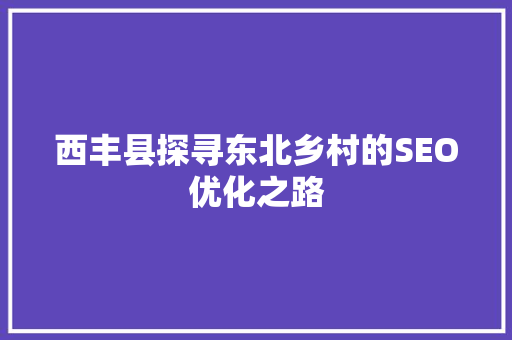西丰县探寻东北乡村的SEO优化之路