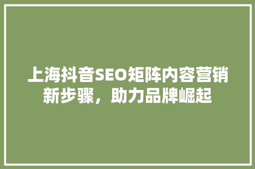 上海抖音SEO矩阵内容营销新步骤，助力品牌崛起