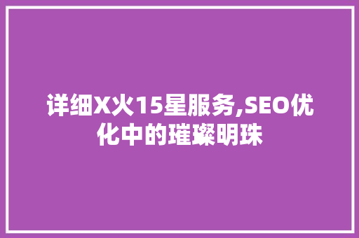详细X火15星服务,SEO优化中的璀璨明珠