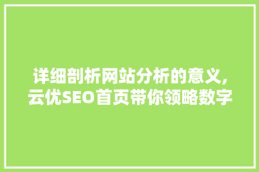 详细剖析网站分析的意义,云优SEO首页带你领略数字营销新境界