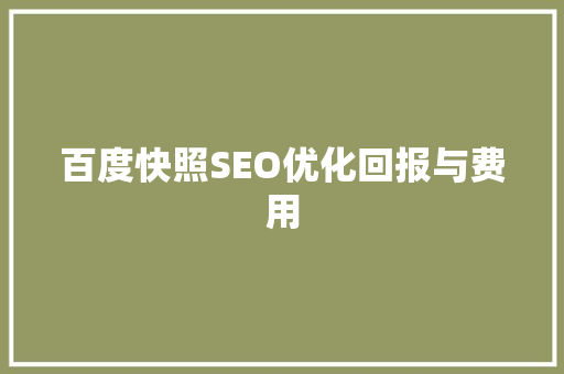 百度快照SEO优化回报与费用