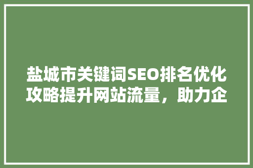 盐城市关键词SEO排名优化攻略提升网站流量，助力企业腾飞
