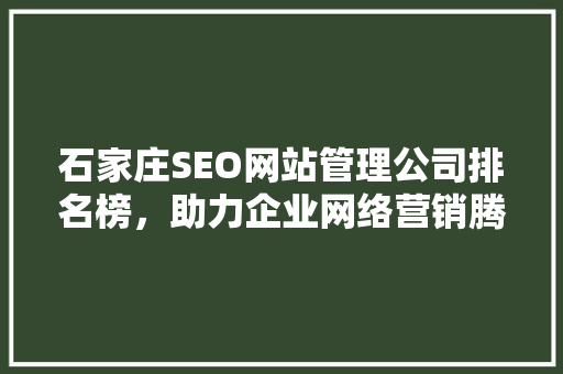 石家庄SEO网站管理公司排名榜，助力企业网络营销腾飞