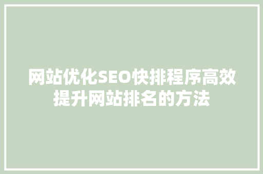 网站优化SEO快排程序高效提升网站排名的方法
