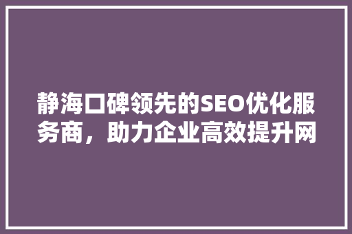 静海口碑领先的SEO优化服务商，助力企业高效提升网络曝光