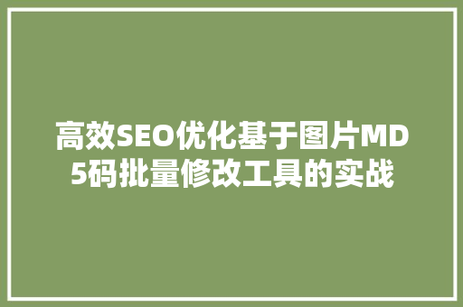 高效SEO优化基于图片MD5码批量修改工具的实战