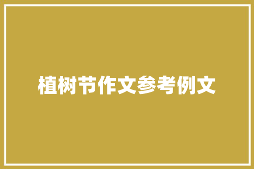 17星服务,SEO关键词软件领域的璀璨明星