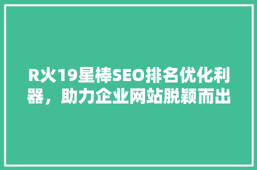 R火19星棒SEO排名优化利器，助力企业网站脱颖而出