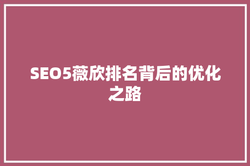 SEO5薇欣排名背后的优化之路