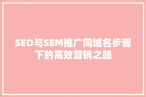 SEO与SEM推广同域名步骤下的高效营销之路