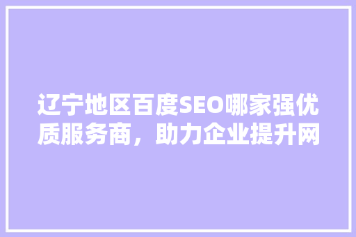 辽宁地区百度SEO哪家强优质服务商，助力企业提升网络曝光度