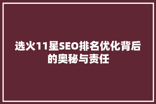 选火11星SEO排名优化背后的奥秘与责任