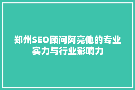 郑州SEO顾问阿亮他的专业实力与行业影响力