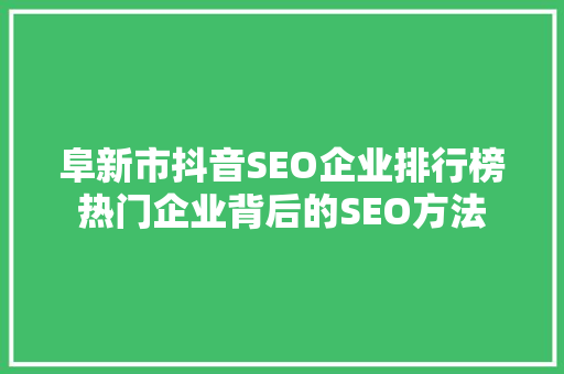 阜新市抖音SEO企业排行榜热门企业背后的SEO方法