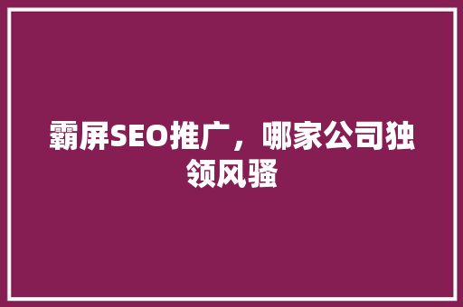 霸屏SEO推广，哪家公司独领风骚