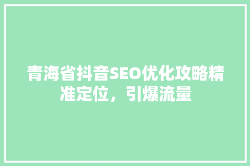 青海省抖音SEO优化攻略精准定位，引爆流量