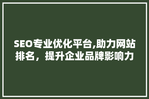 SEO专业优化平台,助力网站排名，提升企业品牌影响力