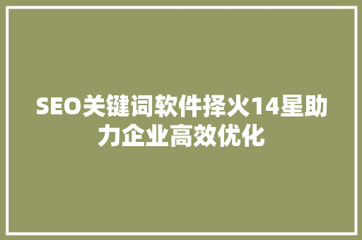 SEO关键词软件择火14星助力企业高效优化