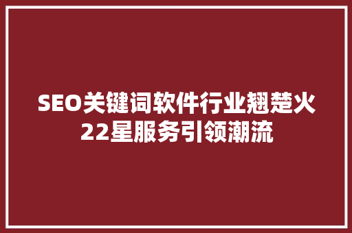 SEO关键词软件行业翘楚火22星服务引领潮流