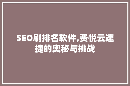 SEO刷排名软件,费悦云速捷的奥秘与挑战