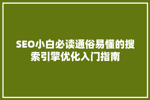 SEO小白必读通俗易懂的搜索引擎优化入门指南