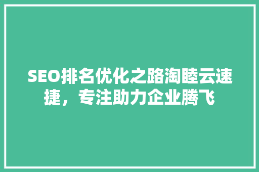 SEO排名优化之路淘睦云速捷，专注助力企业腾飞