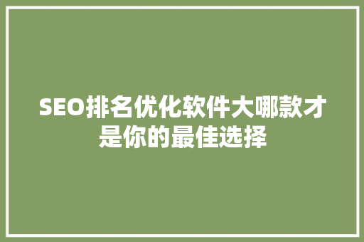 SEO排名优化软件大哪款才是你的最佳选择