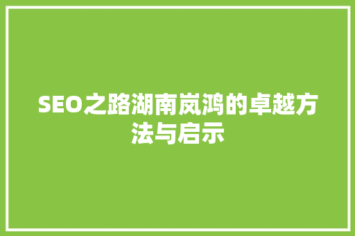 SEO之路湖南岚鸿的卓越方法与启示