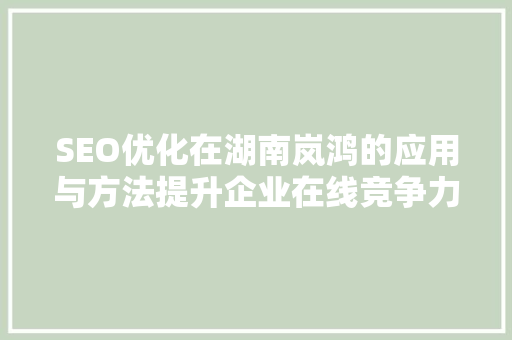 SEO优化在湖南岚鸿的应用与方法提升企业在线竞争力