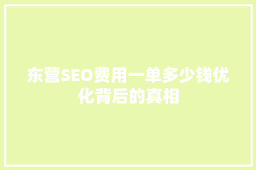 东营SEO费用一单多少钱优化背后的真相