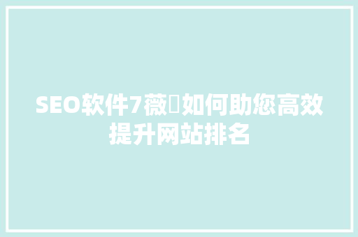 SEO软件7薇鈊如何助您高效提升网站排名