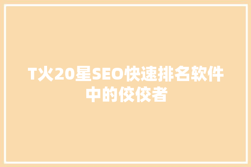 T火20星SEO快速排名软件中的佼佼者