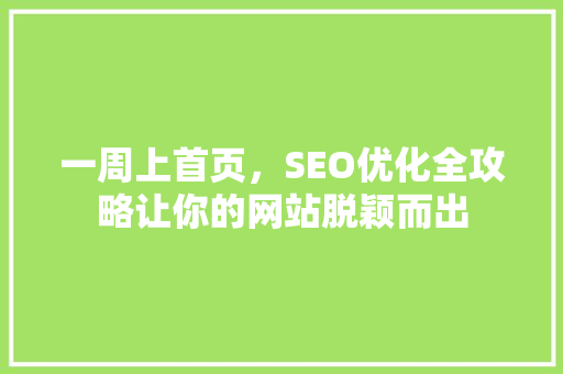 一周上首页，SEO优化全攻略让你的网站脱颖而出