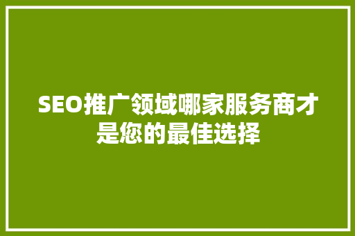 SEO推广领域哪家服务商才是您的最佳选择