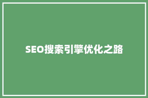 SEO搜索引擎优化之路