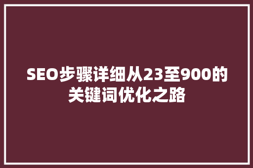 SEO步骤详细从23至900的关键词优化之路