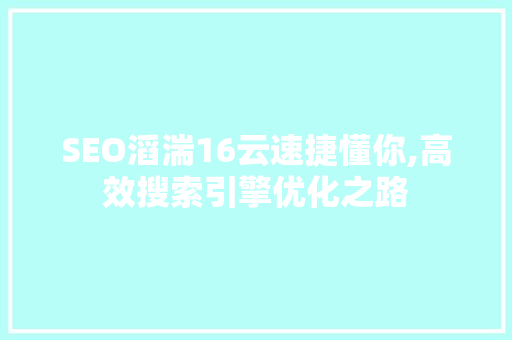 SEO滔湍16云速捷懂你,高效搜索引擎优化之路